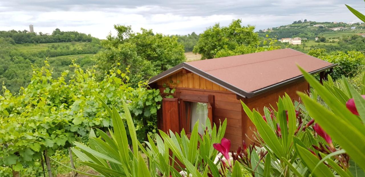 Valentina Guest House At Pintar Wine Estate Kojsko Dış mekan fotoğraf